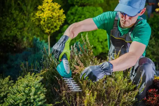 landscaping services Alda